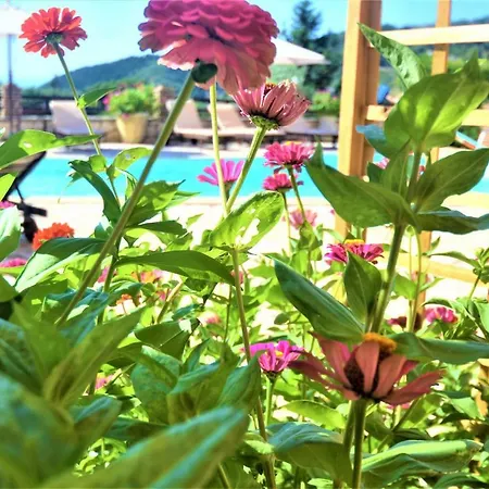 Harvest Moon 4* Lixouri